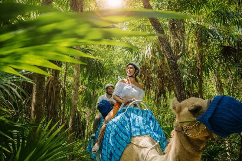 Camel Caravan Expedition