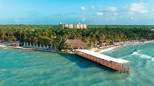 Seaside palms